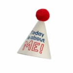 Birthday Party Hat B